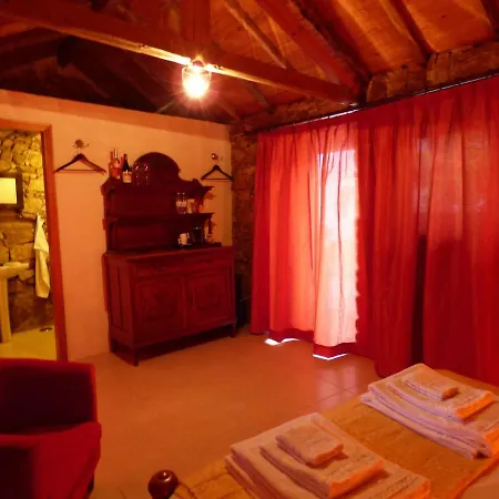 Quinta D'alegria With Large Swimming Pool Near Coimbra * Carapinha