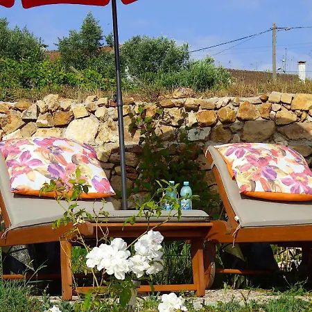 Quinta D'alegria With Large Swimming Pool Near Coimbra Holiday home Carapinha