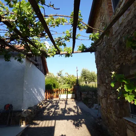 Quinta D'alegria With Large Swimming Pool Near Coimbra *