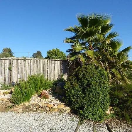 Quinta D'alegria With Large Swimming Pool Near Coimbra *