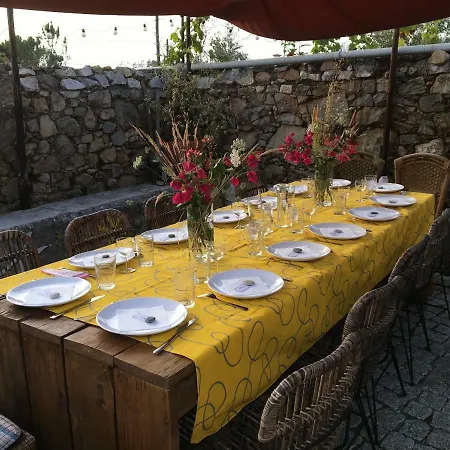 Quinta D'alegria With Large Swimming Pool Near Coimbra Carapinha